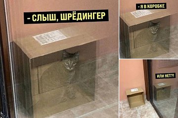 Нажмите на изображение для увеличения
Название: schredinger_or_not.jpg
Просмотров: 764
Размер:	153.5 Кб
ID:	2407