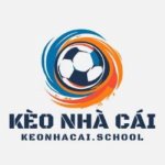 Аватар для keonhacaischool