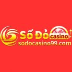 Аватар для sodocasino99