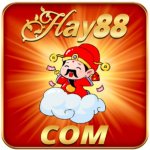 Аватар для HAY88