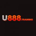 Аватар для u888training