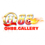 Аватар для qh88gallery