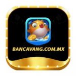 Аватар для bancavangcommx